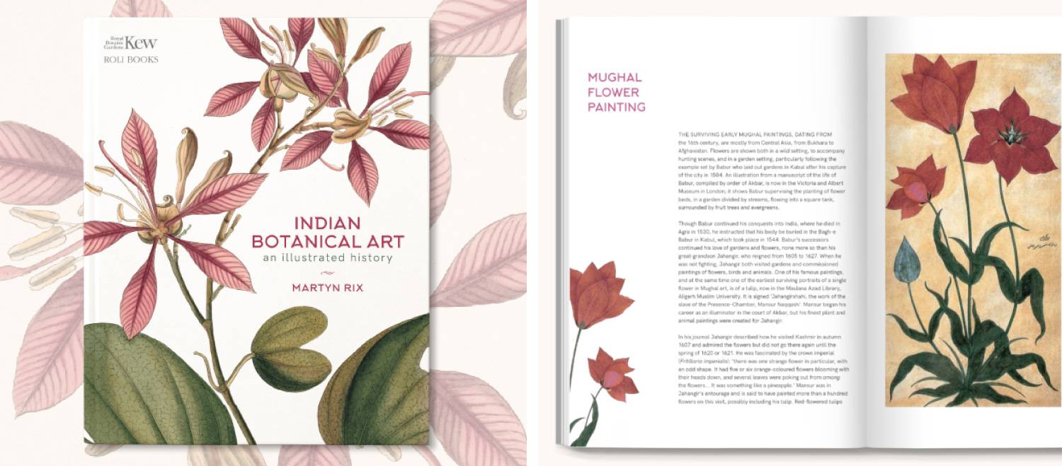 Indian Botanical Art by Martyn Rix